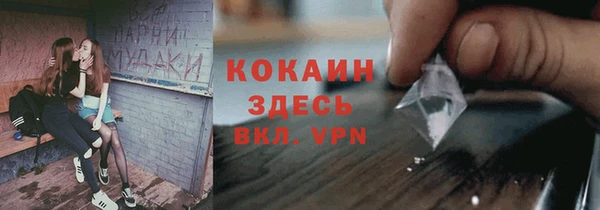 ALPHA PVP Горняк