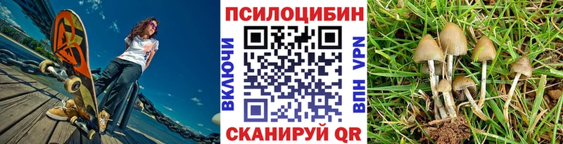 Псилоцибиновые грибы Cubensis МЕГА ссылка Красный Сулин